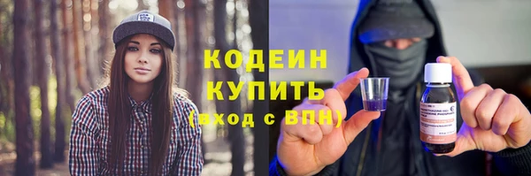 дурь Вяземский