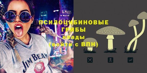 прущие крисы Коряжма