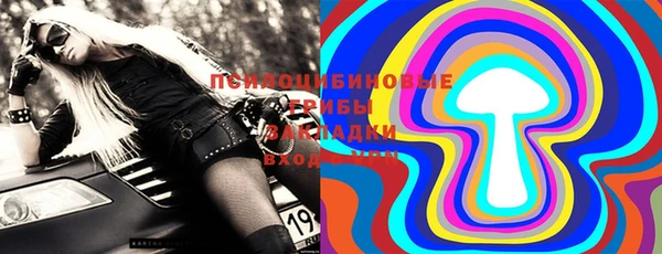PSILOCYBIN Вязьма