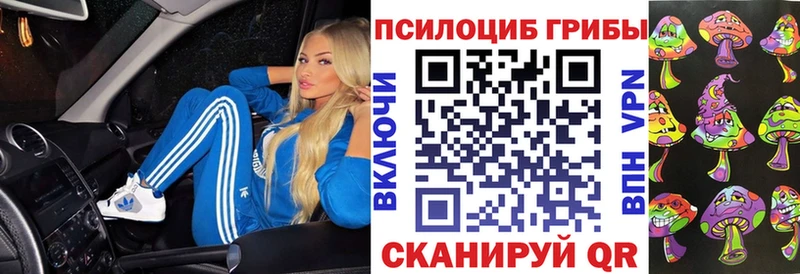 ОМГ ОМГ ТОР  Новохопёрск  Галлюциногенные грибы ЛСД 